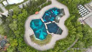 Haudenosaunee Development Institute wants Marineland's land in Niagara Falls, Ont.