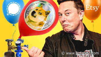 Elon Musk's latest financial advice: Don't pour your life savings into dogecoin