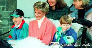 Tina Turner song 'brings back lots of memories' of Diana, Prince William admits