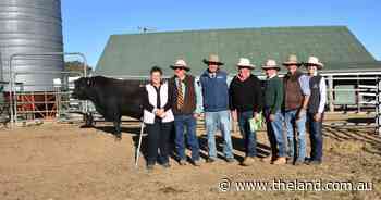 Dulverton Angus to $50,000 at Last Hoorah sale