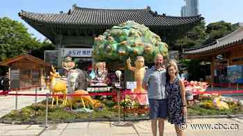 Seoul rolls out the red carpet for New Yorkers who helped stranded Korean tourists