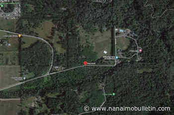 B.C. woman kicked by horse, seriously injured – but doesn’t blame the animal