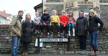 Bristol neighbours work together to get trees put back in their street