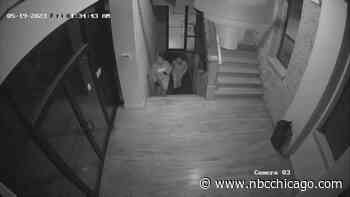 Shop Owner Attacked, Prom Dresses Stolen in Series of Thefts on Chicago's South Side