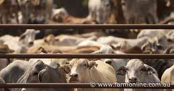 Live-ex class action compensation offer revealed