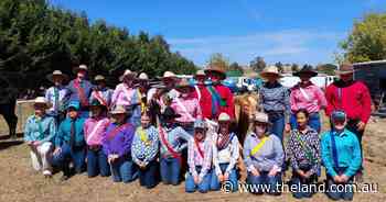 A farm club for everyone