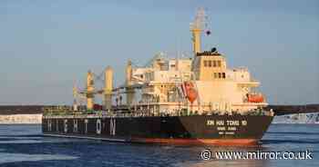 Ship runs aground in Suez Canal as tugboats race to clear busy shipping lane