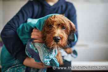 Pets at Home hails record full year performance