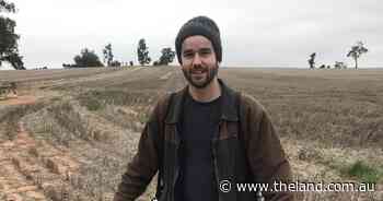 Pleasant surprise: Oil that 'confuses' mice offers hope to farmers