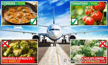 Science of plane food: The meals that should NEVER be served and why tastebuds go haywire mid-flight