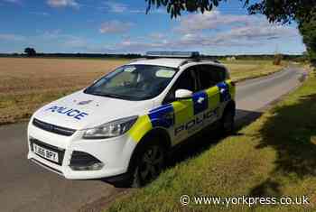 Police search for livestock owner in Strensall after sheep worrying