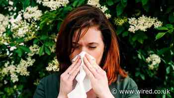 You’re Allergic to the Modern World