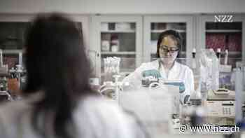 Die Schweizer Firmen in China sind wieder optimistisch - aber auch vorsichtiger