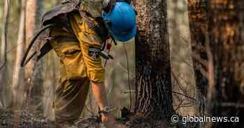 Alberta wildfires: evacuees return home but ‘season isn’t over yet’ officials warn