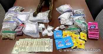 Police chase ends in fatal shooting on Randall Road; suspect, police dog killed