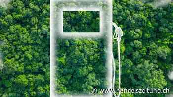 Weltweiter Trend: Grüner Wasserstoff