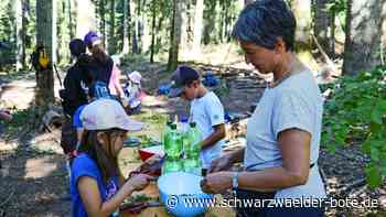 Sommerferien Wildberg: Kinder erwartet ein spannendes Programm
