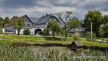 Zeitungszustellung: Das ist das Ergebnis von Funkes E-Paper-Modellprojekt in Thüringen