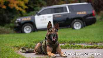 OPP dog helps find four suspects at Tecumseh business