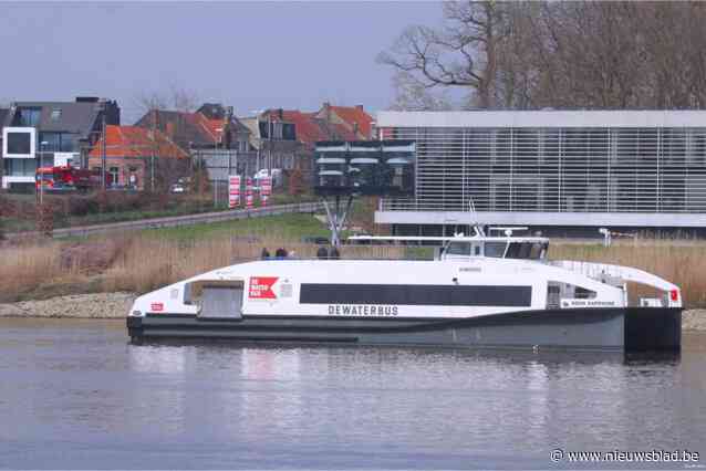 Temse organiseert ludieke race naar Antwerpen: “Bewijzen dat Waterbus het snelst is”