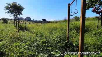 Ponte di Nona, l'erba alta ha reso inaccessibile il parco archeologico