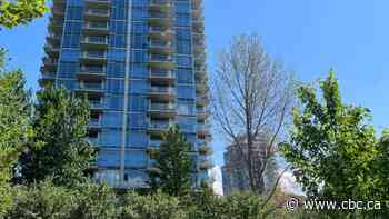 Have you seen the cottonwood killer? Kelowna RCMP seeks witnesses after deliberate poisoning of mature tree