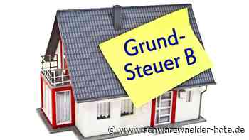 Nach Beschluss im Gemeinderat: Ist Steuererhöhung in Bad Herrenalb jetzt vom Tisch?