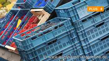 Schmiergeld-Prozess: Geschäftsführer am Münchner Großmarkt muss in Haft