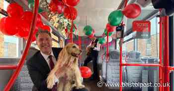 WECA £8m free birthday bus rides slammed as 'kick in the teeth' for communities