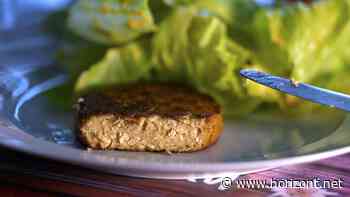 Rügenwalder, dm Bio &amp; Co: Das sind die stärksten Marken bei Fleischersatzprodukten