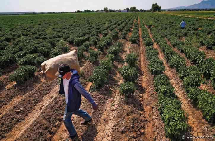 Bipartisan immigration bill faces political headwinds, analyst says