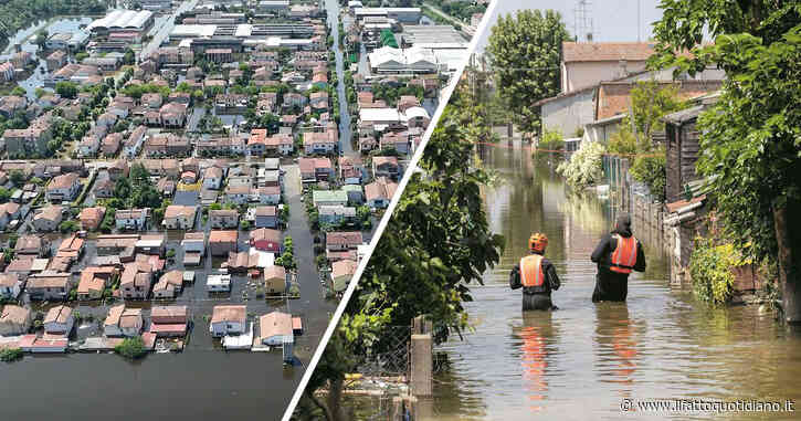 Sopravvivere a Conselice, dove l’acqua è diventata palude: nugoli di zanzare, rischio infezioni e vaccini anti-tetano. “Speriamo che almeno il meteo ci dia una mano”