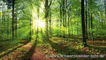 Klimaschutz für Neuweiler: Zu viele offene Fragen