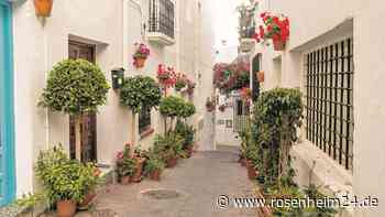 Wahlbetrug in Spanien: Sieben Verdächtige in Mojácar verhaftet