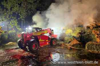 Tierpark Nadermann will Strohpyramide nach Brand wieder aufbauen