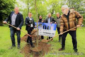 Lübbecke: Zylinderkompanie pflanzt zum Jubiläum eine Eiche