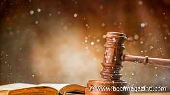 Supreme Court narrows WOTUS definition