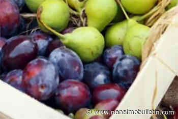 Fruit being ‘rescued’ for food programs in Ladysmith