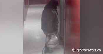 Man facing charges in attempted ‘targeted arson’ at Hamilton apartment