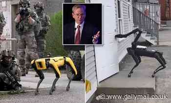 Ex-Google CEO warns artificial intelligence could be used to kill 'many, many people' 