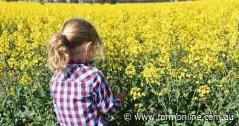 GE crop adoption likely to grow off demand for input cuts