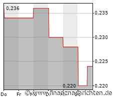 Shanghai Electric und indonesische Partner arbeiten zusammen, um umweltfreundliche und stabile Energieinfrastruktur voranzutreiben