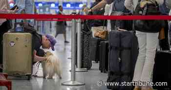 Five things to know about air travel at MSP this summer