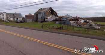 Global Halifax and N.B. journalists named finalists in RTDNA eastern region