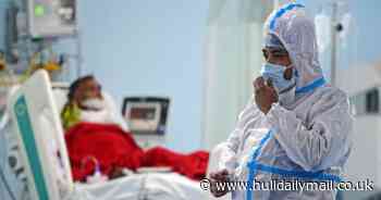 Scientists tackle deadly bug that attacks the weak and lives on surfaces and door handles