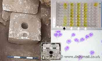 The Kingdom of Judah was rife with deadly DIARRHOEA, analysis of ancient poo reveals