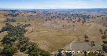 Productive Amaroo sold soon after auction