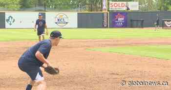 Lethbridge Bulls eye return to WCBL playoffs