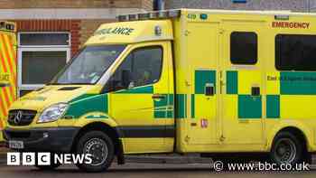 Bus service disrupted after crash