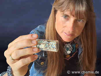 Ein beliebter kompostierbarer Kunststoff baut sich im Meer nicht ab